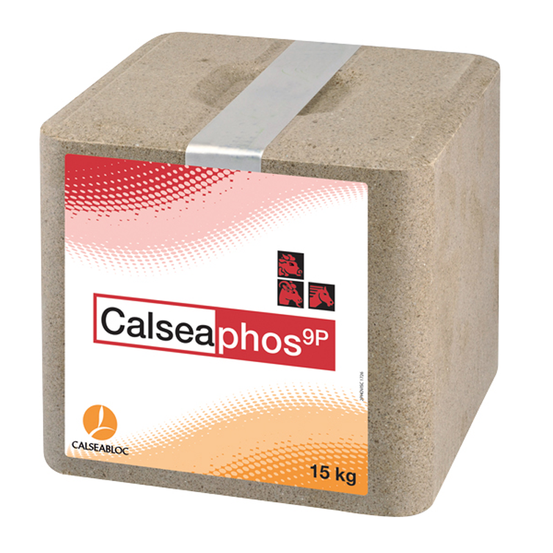 Calseaphos 9P 15kg mineralen blok