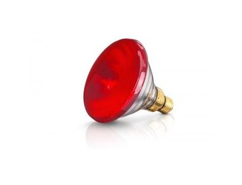 Lamp EB 100W rood Philips
