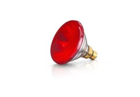 Lamp EB 175W rood Philips