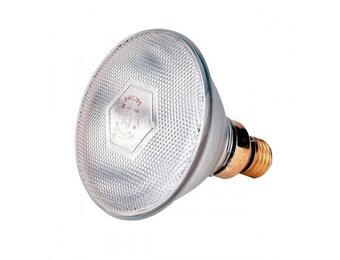 Lamp EB 175W wit Philips
