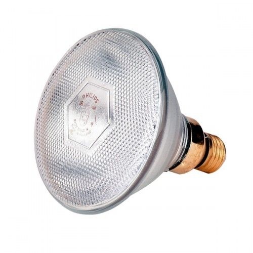 Lamp EB 175W wit Philips