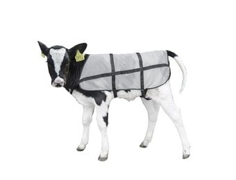 Kalverdek Blanket