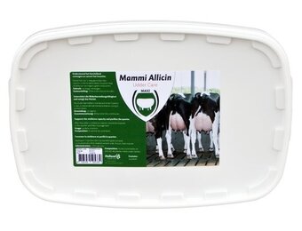 Mammi Allicin 24 stuks