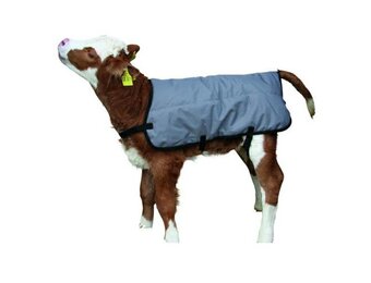 Kalverdek grijs 80 cm