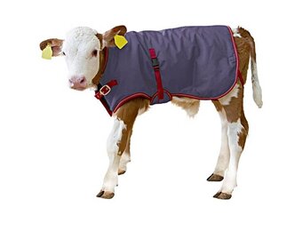Kalverdek ThermoPlus 80 cm