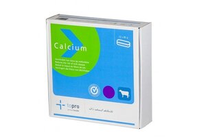 Calcium Bolus 12 stuks
