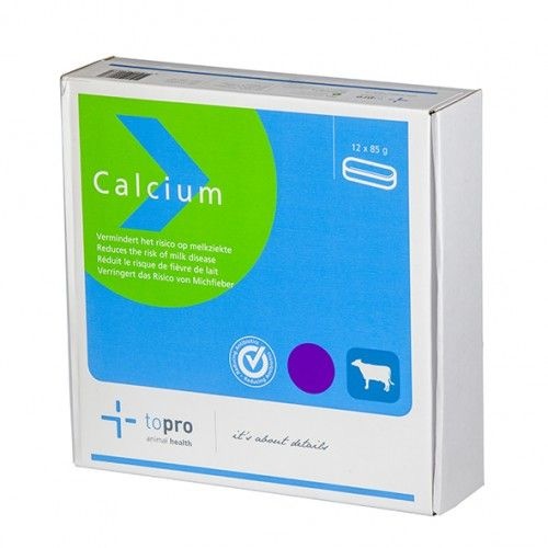Calcium Bolus 12 stuks