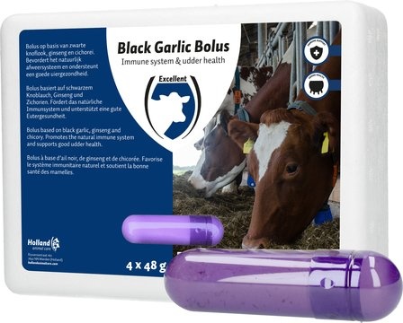 Black Garlic Bolus Rund