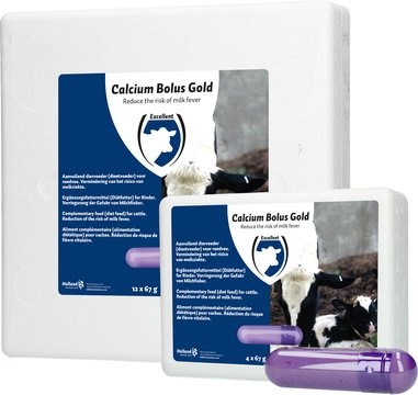 Calcium bolus gold 12 stuks