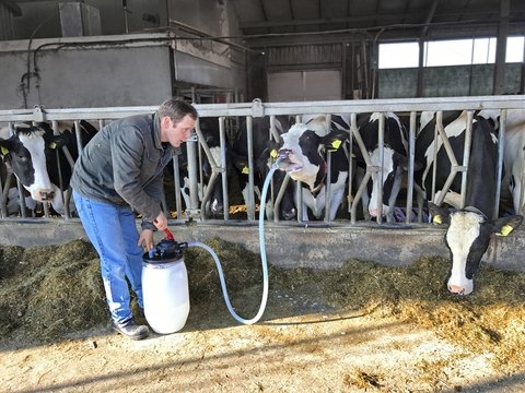 Cow Drencher