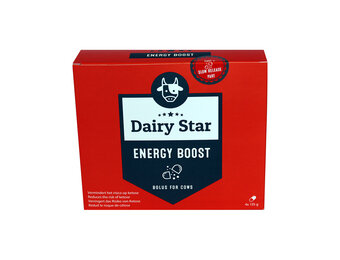 Dairy Star Energy Boost bolus 4 stuks