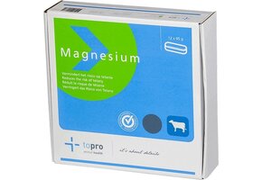 Magnesium bolus 12 stuks