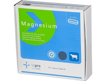 Magnesium bolus 12 stuks