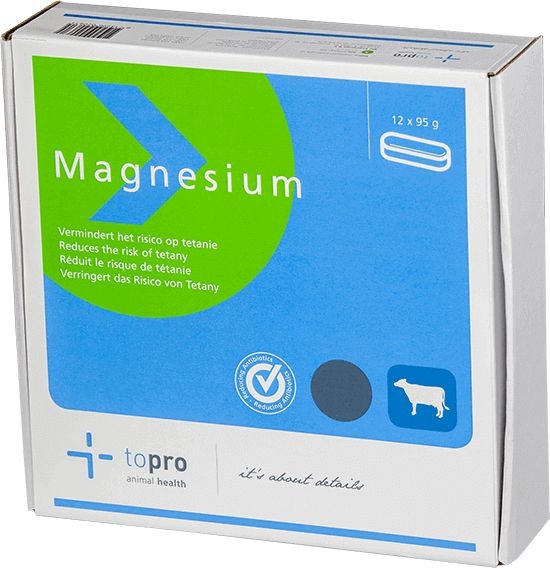 Magnesium bolus 12 stuks