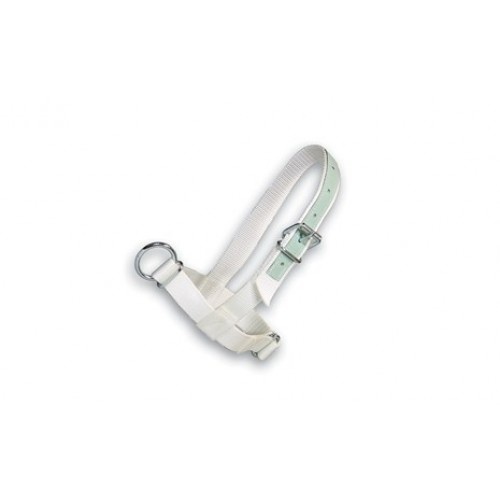 Halster kalf wit 40 mm nylon met leer verstevigd