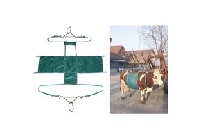 Koelift Compleet Daisy