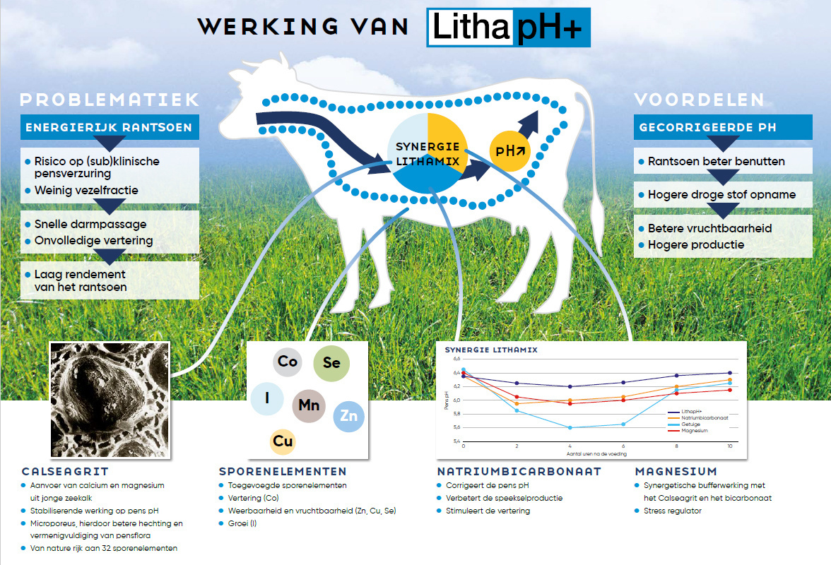 Lithaph+ pensbuffer 25Kg