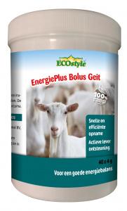 EnergiePlus Bolus geit