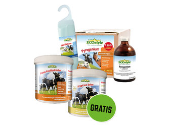 Mastitis Combi-Therapie Pack