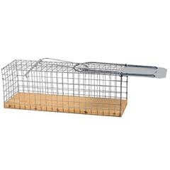 Rattenval inlopend levend