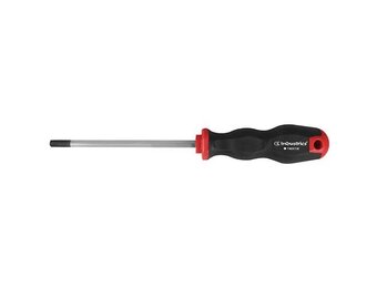 Schroevendraaier TX27 115mm