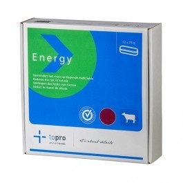 Topro Energy Bolus 12x75 gram