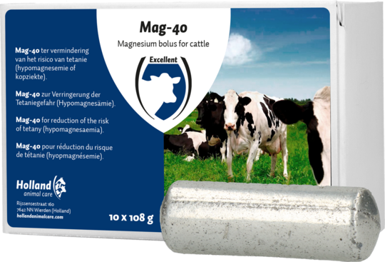 Magnesium bolus (Mag-40)