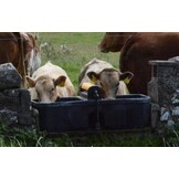 JFC dubbele  "fast fill" 136 liter drinkbak