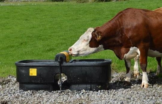 JFC dubbele "fast fill" 400 liter drinkbak