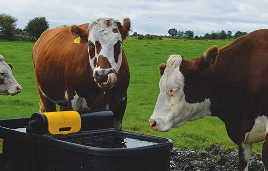 JFC dubbele "fast fill" 400 liter drinkbak