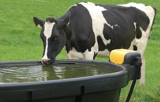 JFC ovale "fast fill" 800 liter drinkbak
