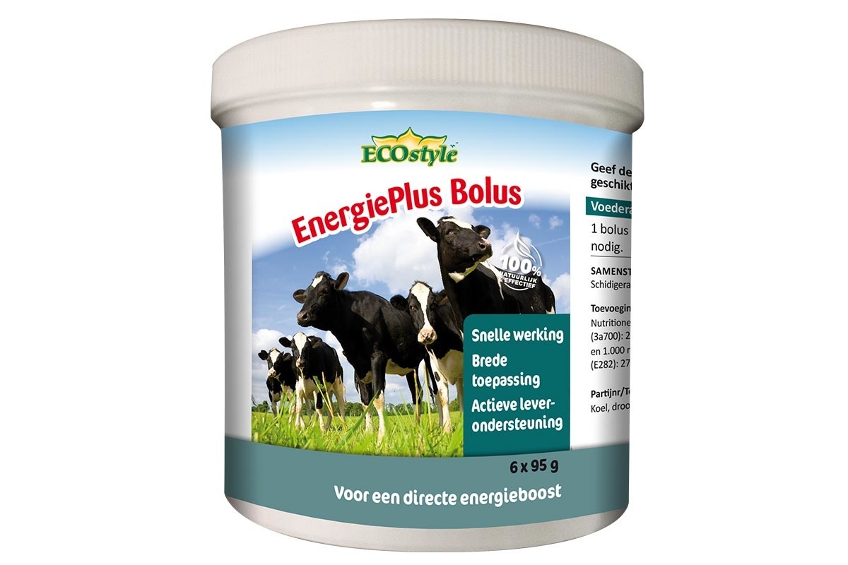 EnergiePlus bolus 6x 95G