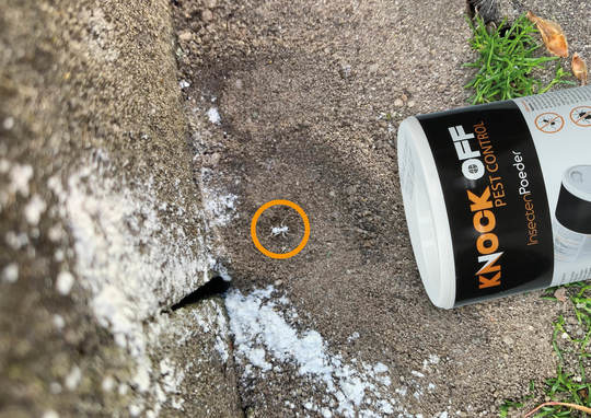 Knock Off Insectenpoeder