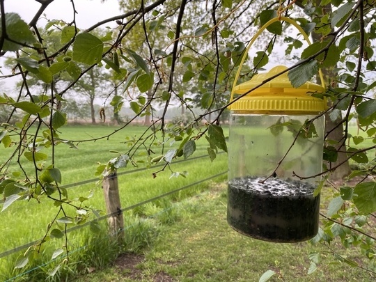 Knock Off FlyNip VliegenVal