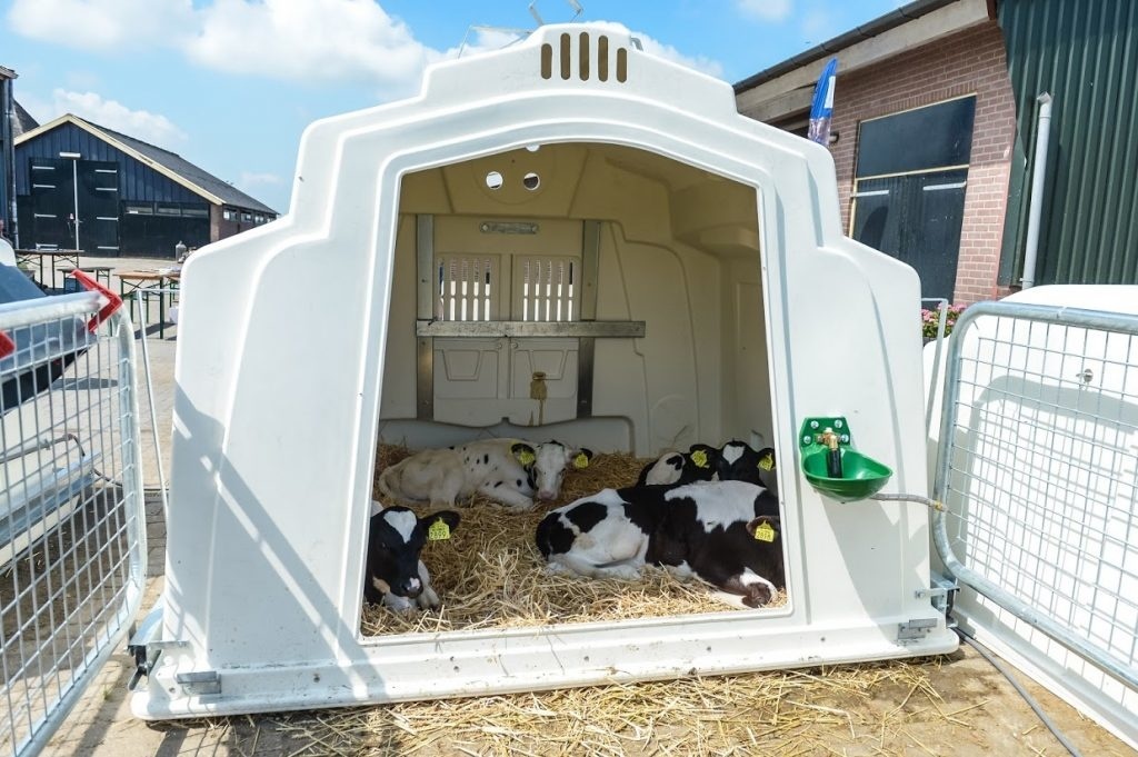 Agri-plastics groepshut kalverhut