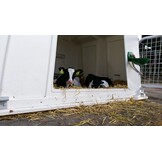 Agri-plastics groepshut kalverhut