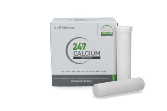 Calcium bolus 24/7 12 stuks