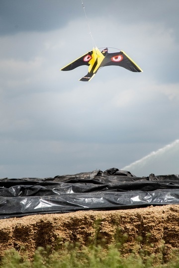 Bird Bouncer 120x60cm