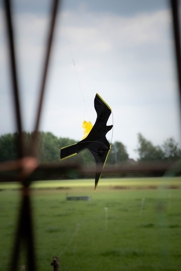 Bird Bouncer 120x60cm