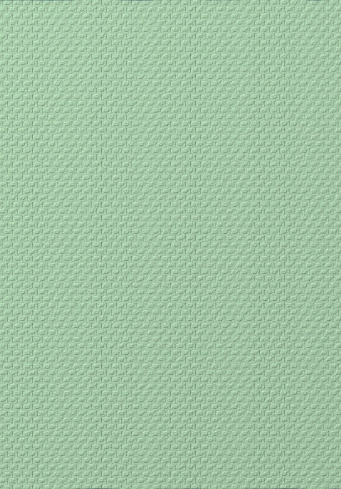 Copagro Glasweefsel Standaard Voorgeschilderd