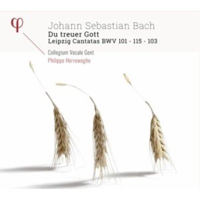 J.S. Bach: Du Treuer Gott - Leipzig Cantatas B