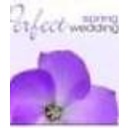 Naxos Perfect Spring Wedding Naxos Perfect Spring Wedding