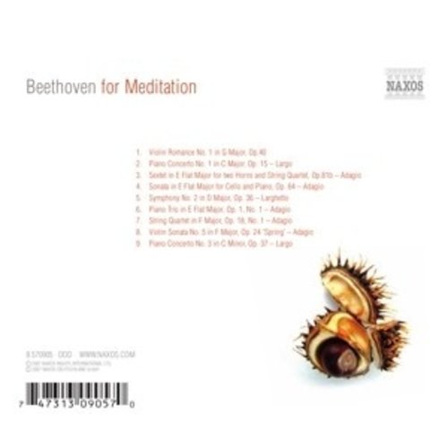 Naxos Beethoven For Meditation
