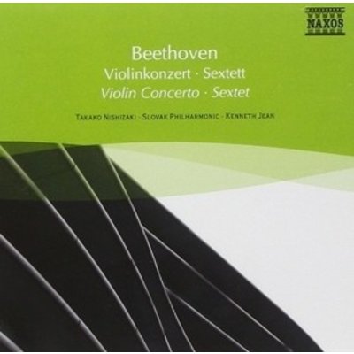 Beethoven: Violin Concerto - S