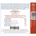 Naxos Beethoven: Piano Trios 5