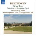 Naxos Beethoven: Complete String Tri