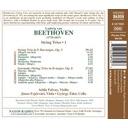Naxos Beethoven: Complete String Tri