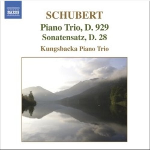 Naxos Schubert: Piano Trio No. 2