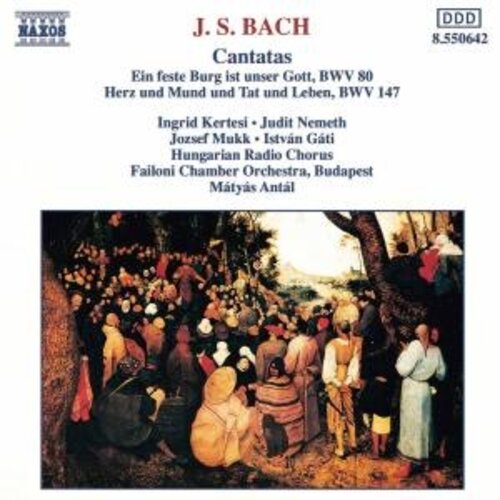 Naxos Bach J. S.: Cantatas