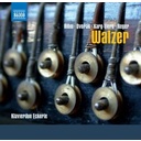 Naxos Walzer - Klavierduo Eckerle